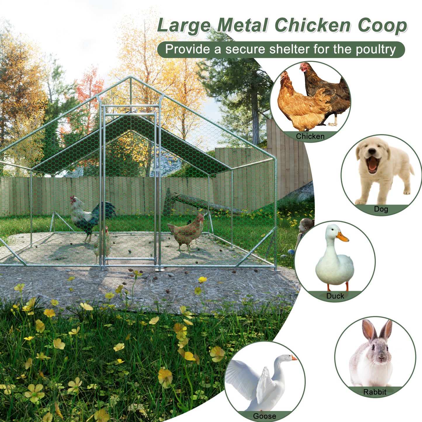 Large metal chicken cage, galvanized iron ribbon waterproof and UV resistant cover (10 'long x 13' wide x 6.56 'high)